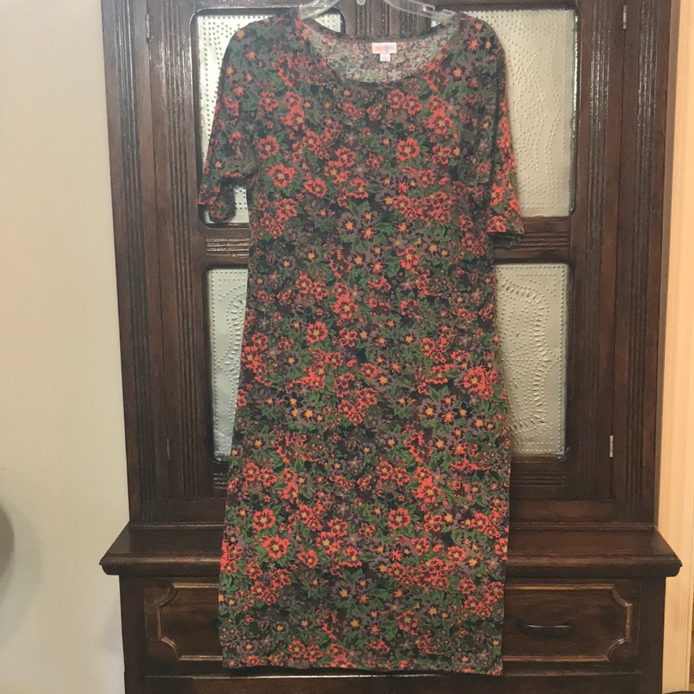LuLaRoe Julie dress (EUC)